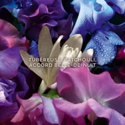 Absolus Allegoria Florabloom