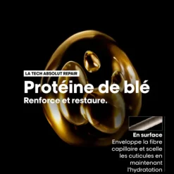 Absolut Repair Masque