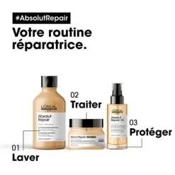 Absolut Repair Masque