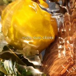 AQUA ALLEGORIA FORTE