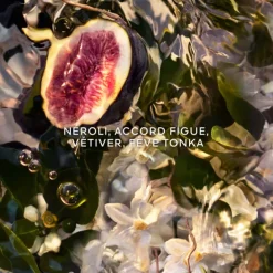 AQUA ALLEGORIA FORTE