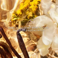 AQUA ALLEGORIA FORTE