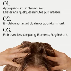 Argile Pré-Shampoing Purifiant