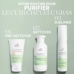Argile Pré-Shampoing Purifiant