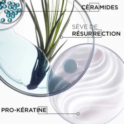 Bain Force Architecte