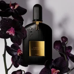 Black Orchid