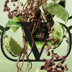 Born in Roma Green Stravaganza Uomo