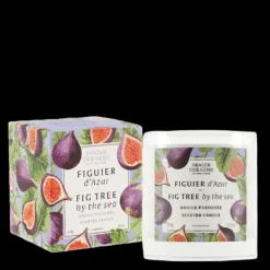 Bougie Parfumée Figuier d'Azur