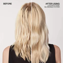 Color Extend Blondage