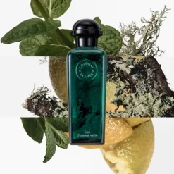 Concentrée d'Orange Verte