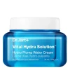 Crème Hydratante Repulpante Hydro-Plump