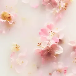 Crème Pour Le Corps