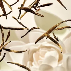 Diffuseur Parfum Maison