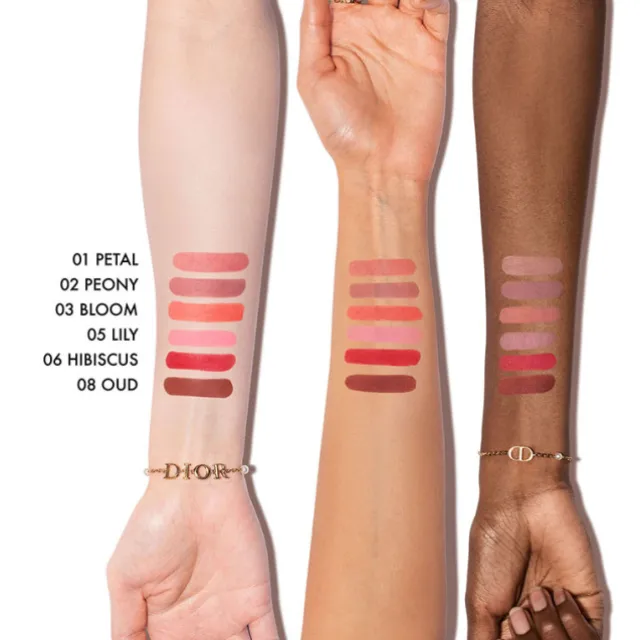 Dior Forever Blush Soft Filter