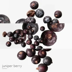 Eau des Merveilles Bleue