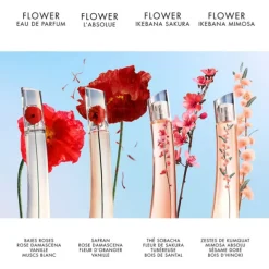 FLOWER IKEBANA MIMOSA BY KENZO