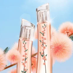 FLOWER IKEBANA MIMOSA BY KENZO