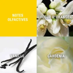 Giorgio Beverly Hills Eau de Toilette