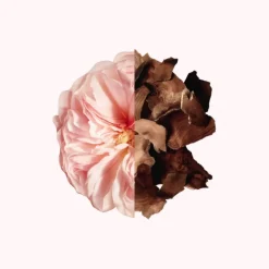 Irresistible Givenchy