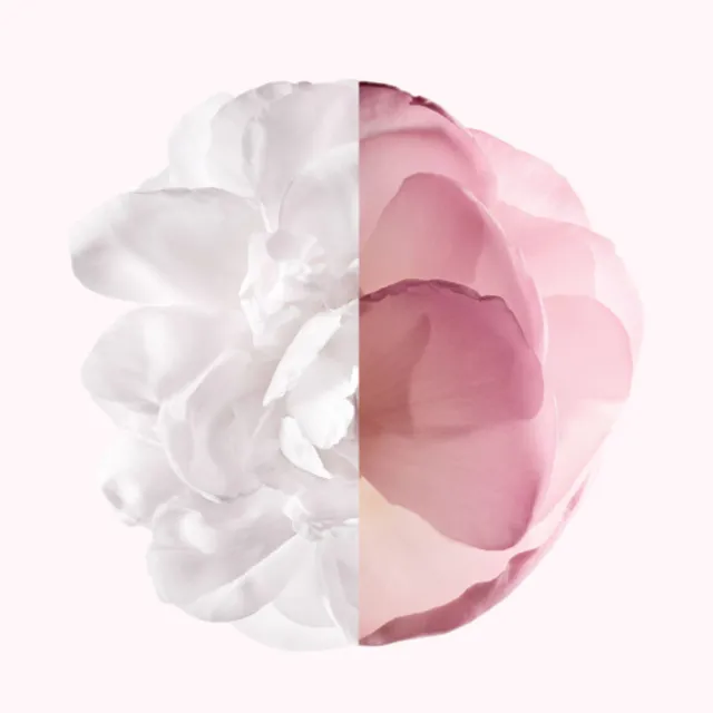 Irrésistible Givenchy