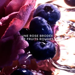 La Petite Robe Noire