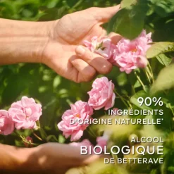 La Petite Robe Noire