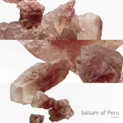 L'Ambre des Merveilles