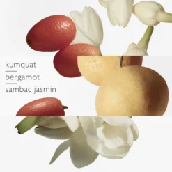 Le Jardin de Monsieur Li