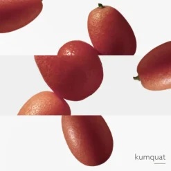 Le Jardin de Monsieur Li