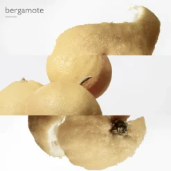 Le Jardin de Monsieur Li