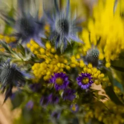 L'Eau Rêvée d'Hubert