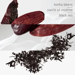 L'Ombre Des Merveilles