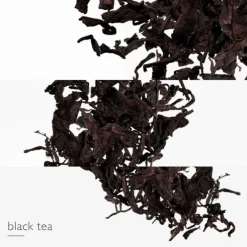 L'Ombre Des Merveilles