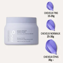 Masque Violet