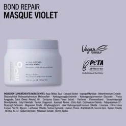 Masque Violet