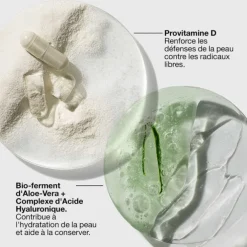 Moisture Surge SPF25