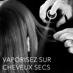 Professional Shaper Zero Gravity Spray coiffant