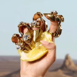 Q By Dolce & Gabbana