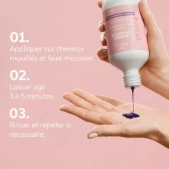 Shampoing Raviveur de Couleur