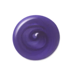 Shampoing Raviveur de Couleur