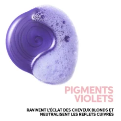 Shampoing Raviveur de Couleur