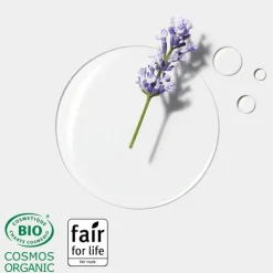 Shampooing Sec Invisible