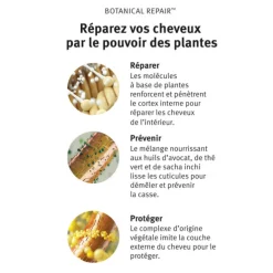 Strengthening Overnight Serum