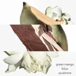 Un Jardin sur le Nil