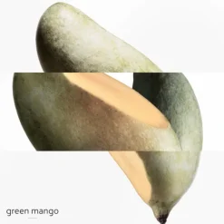 Un Jardin sur le Nil